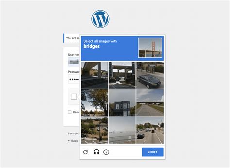 captcha website.